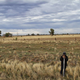 Image for article titled NASA's Soil Moisture Satellite Forges on Without its Radar